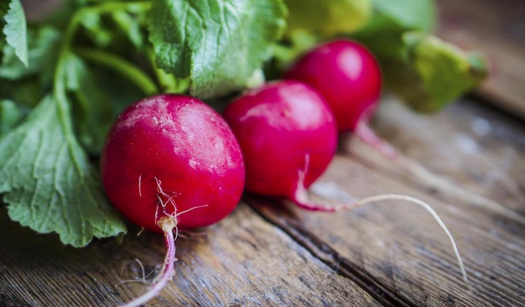 Are Radish Good For Weight Loss ? Top Ten Amazing Benefits of Eating Radish Aahaar Expert