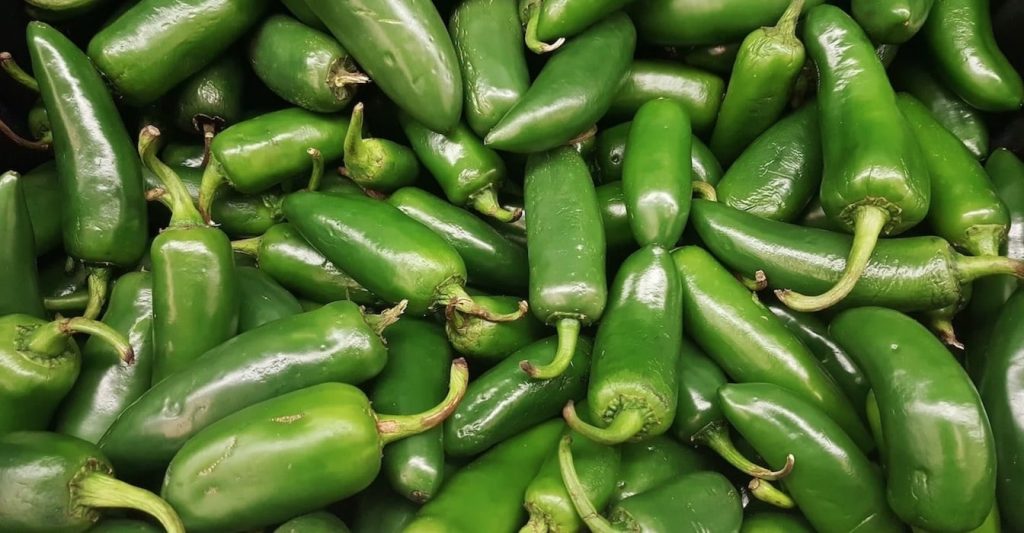 Health Benefits of Jalapeno Peppers 9 Amazing Nutritional Properties