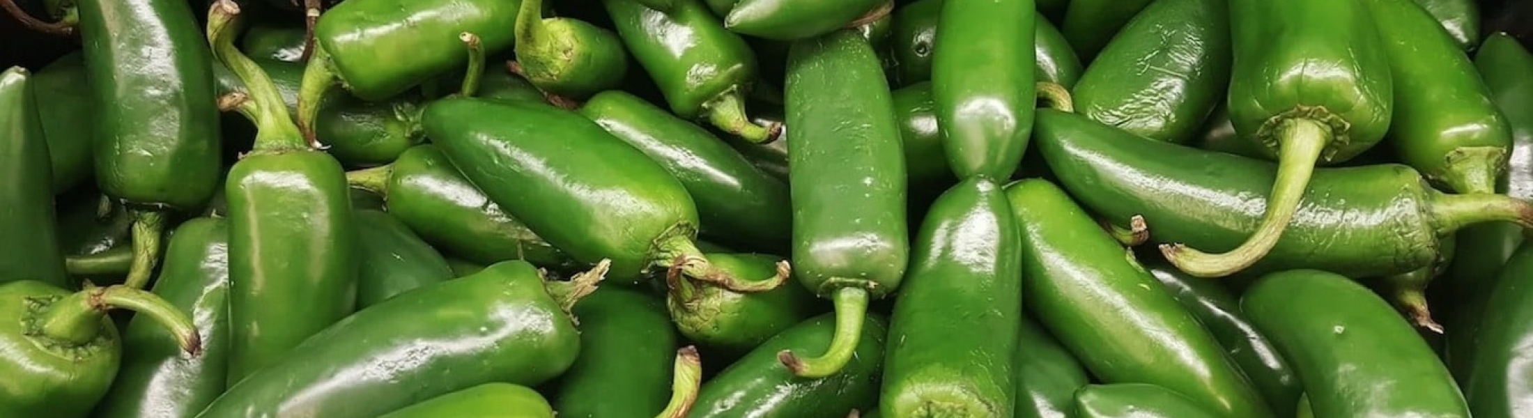 Health Benefits of Jalapeno Peppers 9 Amazing Nutritional Properties