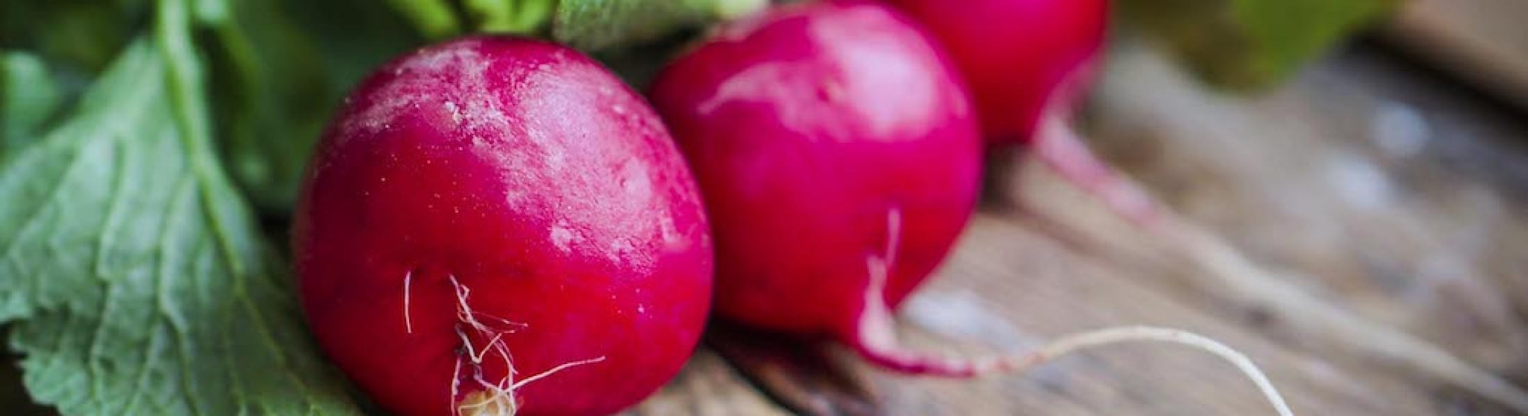 Are Radish Good For Weight Loss ? Top Ten Amazing Benefits of Eating
